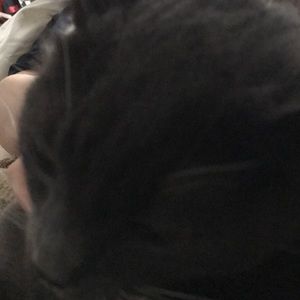 Meet your Posher, Orlando